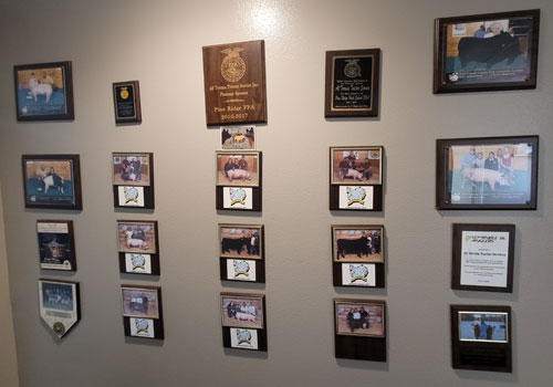 Community Involvement Wall